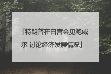 特朗普在白宫会见鲍威尔 讨论经济发展情况